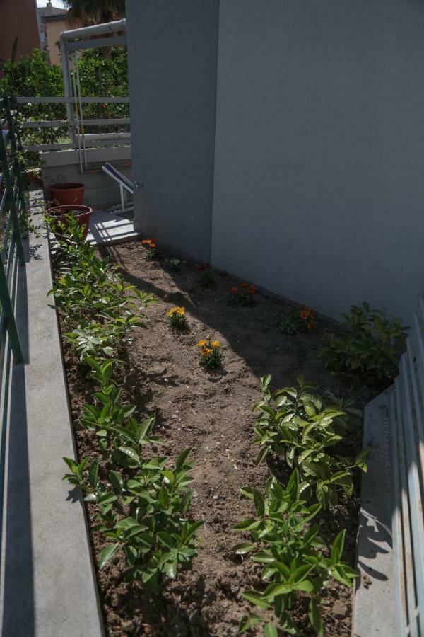 Casa Rinuccia Apartment Cefalu Exterior photo
